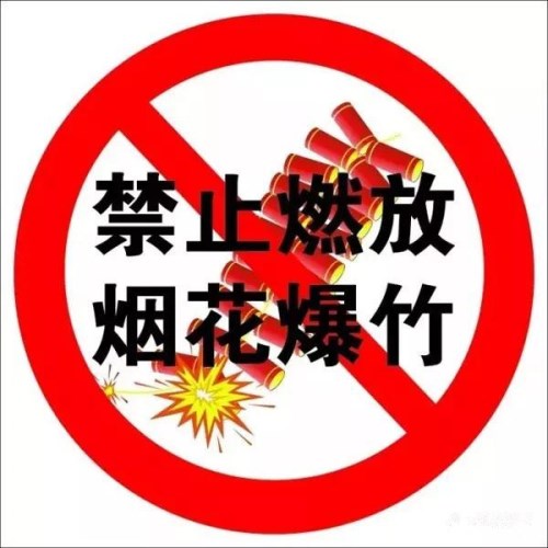 禁止燃放煙花爆竹倡議書